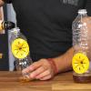 Genius Ideas 6 piezas de trampa para avispas para botellas