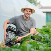 Invernaderos para Jardineros y Agricultores