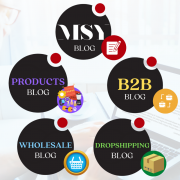 MSY INVEST SPRL 5 nuevos blogs