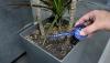 Genius Ideas Mini-Bulb Plant Water Dispenser - Set of 2