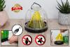 fly trap, fruit fly trap, fly traps, trap a fly, insect trap, diy fly trap, outdoor fly trap, pest control, lighted insect trap, garden, pest items, dropshipping, wholesale, supplier