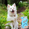 Pet Treatment ED-42859: Retractable Dog Leash - 5M