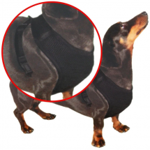 Pet Treatment ED-90006: Vest Dog Harness M - 54.6 x 85.2cm