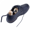 Genius Ideas GI-065501: 1 Pezzo di barella per scarpe in legno da uomo