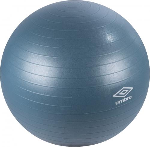 Blauwe Fitness Gymbal 65cm
