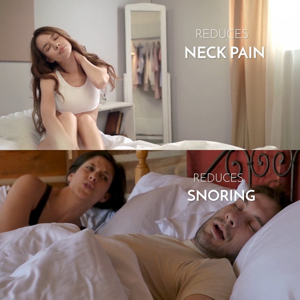 Herzberg HG-6050BC: Bamboo Charcoal Pillow