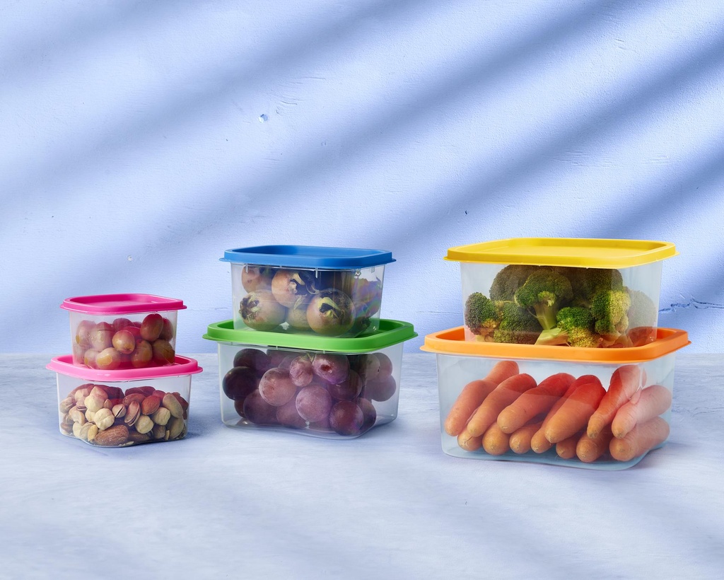 herzberg-hg-sfs6n1-6-in-1-square-food-storage-container-set