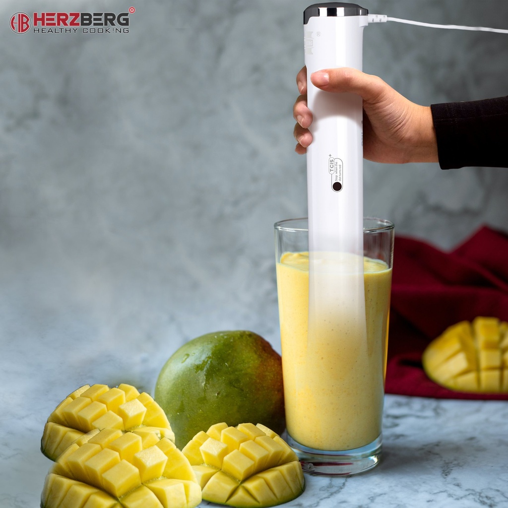 Herzberg HG-5041: Immersion Hand Blender
