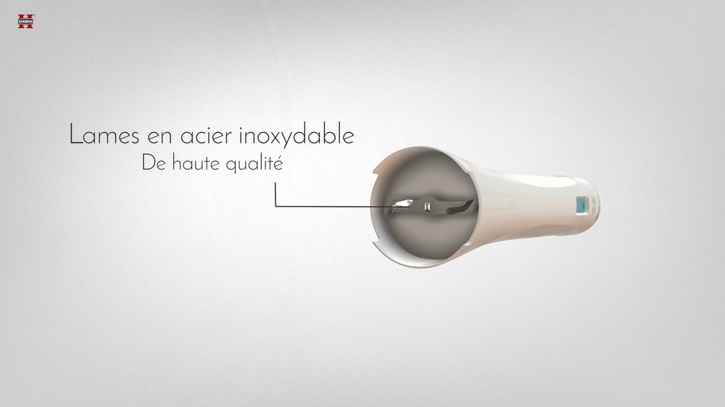 Herzberg HG-5041: Immersion Hand Blender