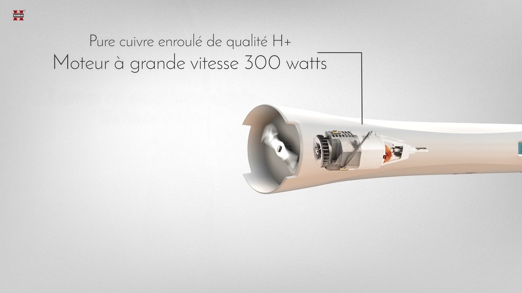 Herzberg HG-5041: Immersion Hand Blender