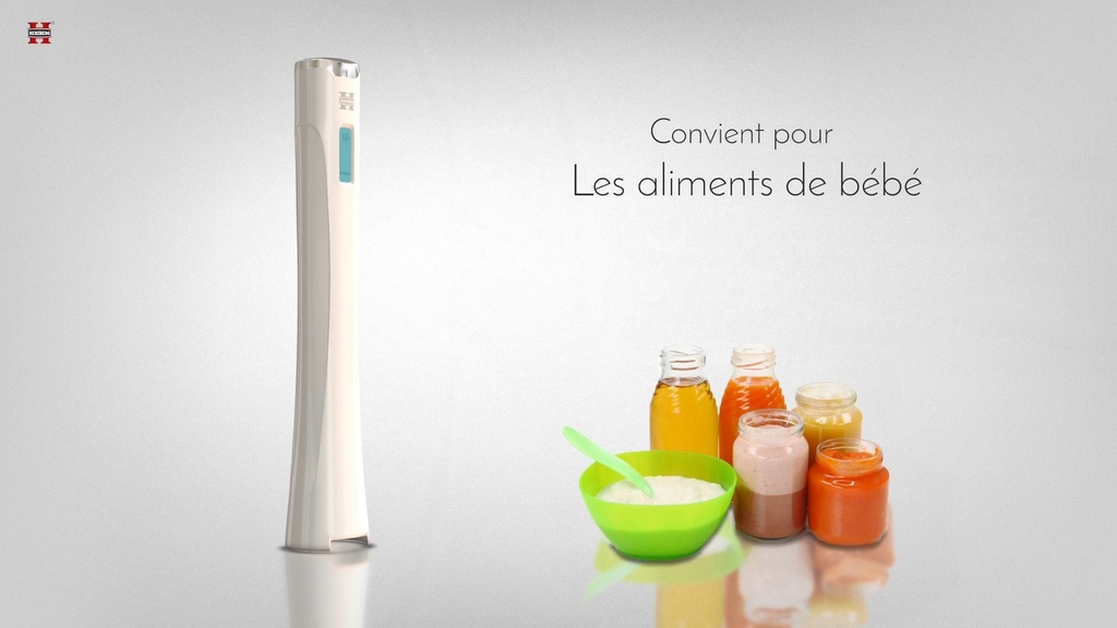 Herzberg HG-5041: Immersion Hand Blender