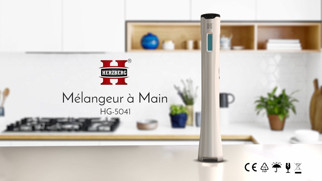 Herzberg HG-5041: Immersion Hand Blender