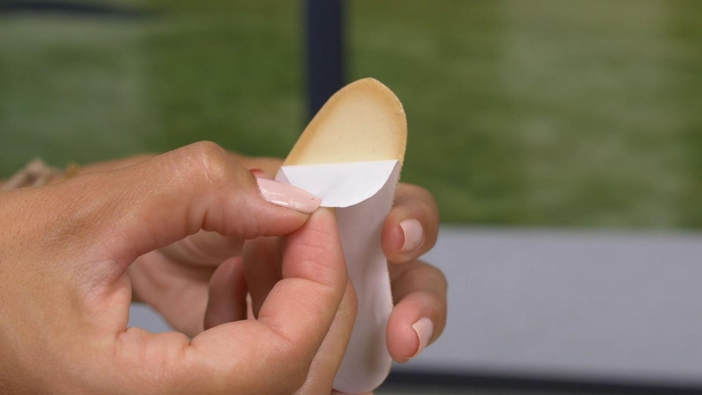 Wellys GI-170317: Pair of Magnetic Heel Pillow