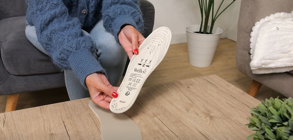Wellys GD-169815: Insoles "Diatomite" (32-45 )