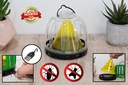 Genius Ideas GI-054561: FLYTRAP Lighted Insect Trap "Cactus"