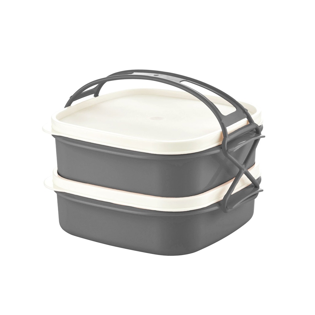 Herzberg HG-LB21: 2-Tier BPA-Free Food Storage Lunch Box with Carry Handle – Leakproof Meal Container 