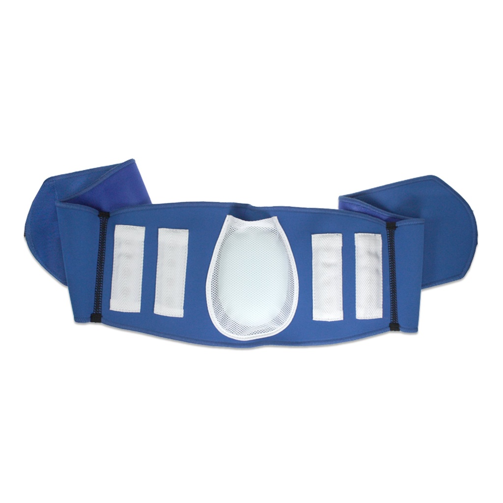 Ceinture dorsale Wellys avec coussin - bleue