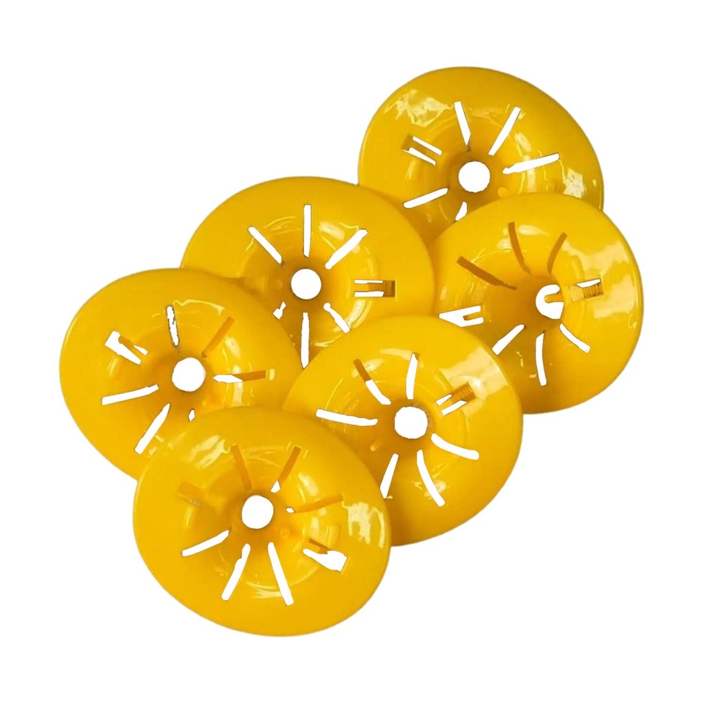 Genius Ideas : piège à guêpes pour bouteilles, 6 pièces